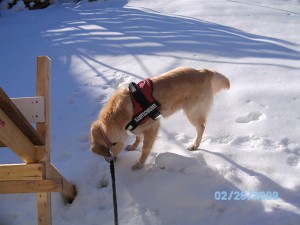 Trine entdeckt den Schnee