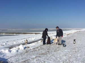 Spaziergänger mit Hunden im Schnee am Deich und Vorland